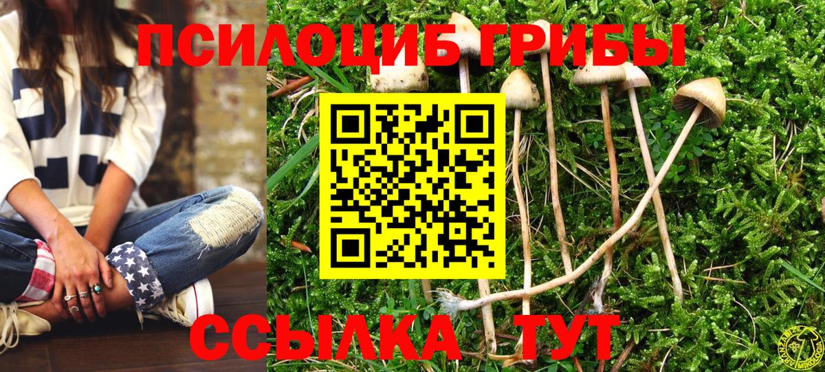 Галлюциногенные грибы GOLDEN TEACHER Южно-Сахалинск