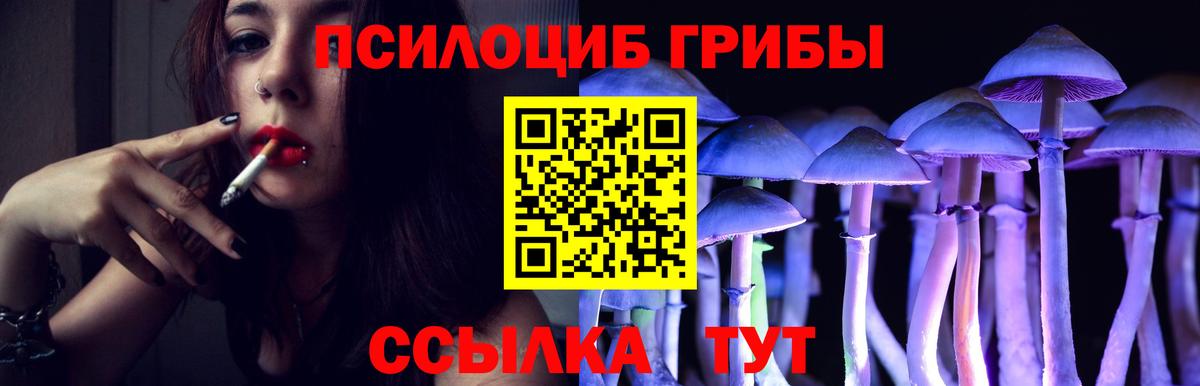Южно-Сахалинск  Галлюциногенные грибы Psilocybe  Псилоцибиновые грибы GOLDEN TEACHER  Вход с VPN 